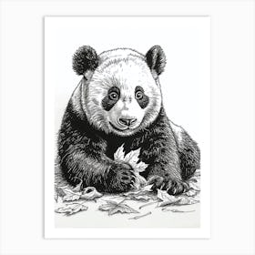 Giant Panda Cub Playing With A Fallen Leaf Ink Illustration 1 Art Print