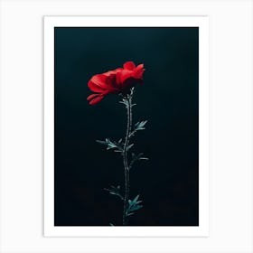 Dark Red Flower 1 Art Print