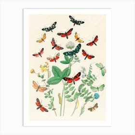 Butterflies And Plants Art Print