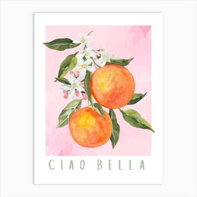 Orange Fruit Print Art Print