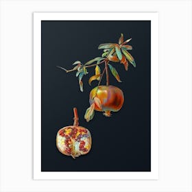 Vintage Pomegranate Botanical Watercolor Illustration on Dark Teal Blue Art Print
