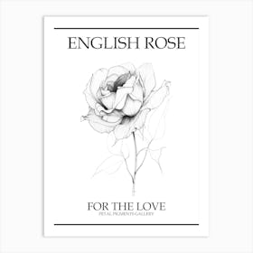 English Rose Black And White Line Drawing 11 Poster Art Print