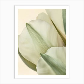 Green Beige Close Up Petals 8 Poster