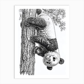Giant Panda Cub Hanging Upside Down From A Tree Ink Illustration 3 Art Print