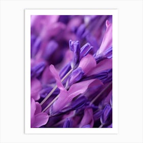 Lavender Flowers 7 Art Print