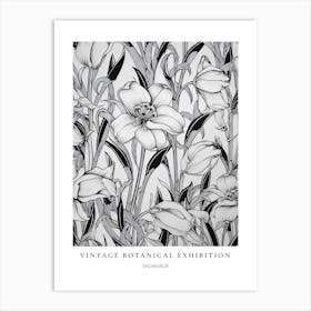 Snowdrop 2 B&W Vintage Botanical Poster Art Print