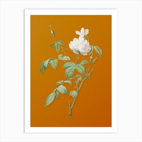 Vintage White Bengal Rose Botanical on Sunset Orange n.0401 Art Print