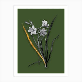 Vintage Daylily Black and White Gold Leaf Floral Art on Olive Green n.0842 Art Print