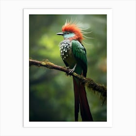 Quetzal Serenade: Jungle Bird Poster Art Print