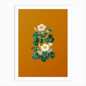 Vintage Variable Oxalis Branch Botanical on Sunset Orange Art Print