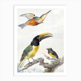 Vintage Bird Art Print_2835721 Art Print