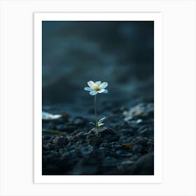 Single White Flower 5 Art Print