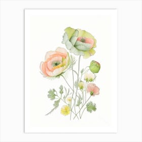 Ranunculus Floral Quentin Blake Inspired Illustration 3 Flower Art Print