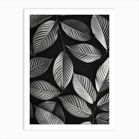 Black And White Leaves 5 Art Print