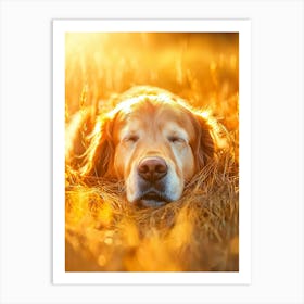 Golden Retriever Dog Sleeping In The Grass.Generated AI. Art Print Art Print