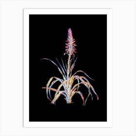 Stained Glass Pina Cortadora Mosaic Botanical Illustration on Black n.0067 Art Print