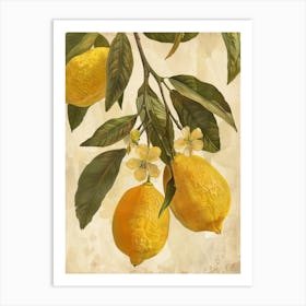 Lemons On A Branch 6 Art Print