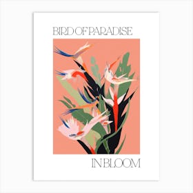 Bird Of Paradise In Bloom Flowers Bold Illustration 1 Art Print