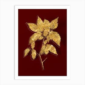 Vintage American Hophornbeam Botanical in Gold on Red n.0314 Art Print