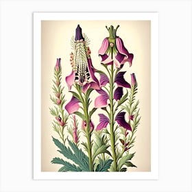 Foxglove 3 Floral Botanical Vintage Poster Flower Art Print