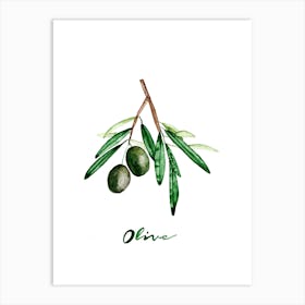 Olive Art Print