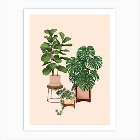 House Plants 17 Art Print