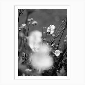 Wild Swedish flowers. Art Print