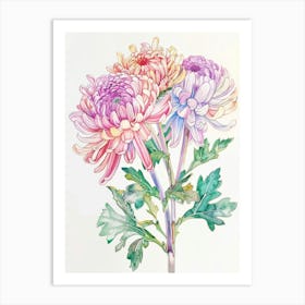 Chrysanthemums 2 Art Print