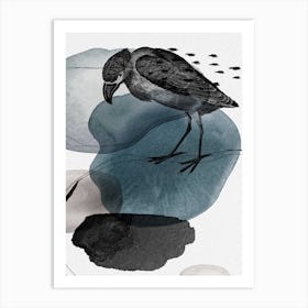 Feathered Friends Bird Black & Navy Art Print