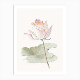 Early Lotus Pencil Illustration 2 Art Print