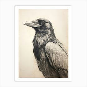 Vintage Bird Drawing Raven 1 Art Print