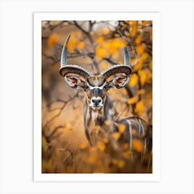 Antelope 1 Art Print