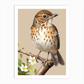 Thrush Art Print