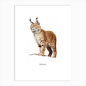 Bobcat Kids Animal Poster Art Print