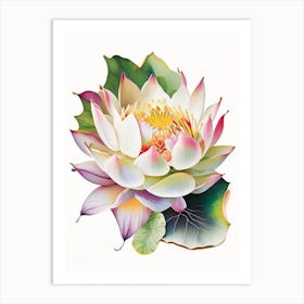 Lotus Flower Petals Decoupage 7 Art Print
