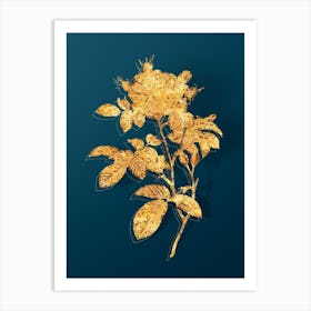 Vintage Red Portland Rose Botanical in Gold on Teal Blue n.0101 Art Print