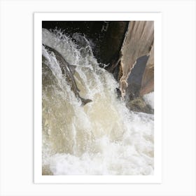 Salmon jumping on the River Ganaraka River, Port Hope, Canada Art Print