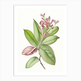 Rhododendron Leaf Art Print