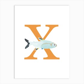 X For Xray Tetra Art Print