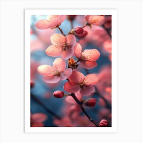 Cherry Blossoms 1 Art Print