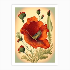 Desert Poppy Wildflower Vintage Botanical 1 Art Print