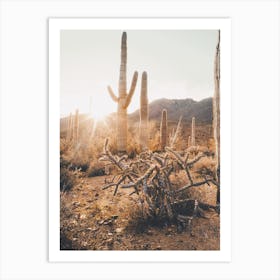 Arizona Desert Sunshine Art Print