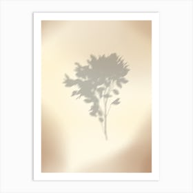 Shadow Of A Tree Art Print