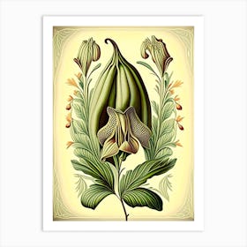 Cardamom Herb Vintage Botanical Art Print