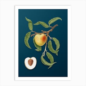 Vintage Peach Botanical Art on Teal Blue n.0694 Art Print
