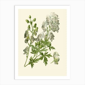 Ginkgo Biloba 1 Art Print