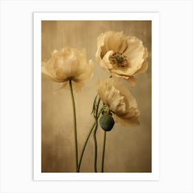 Poppies 24 Art Print