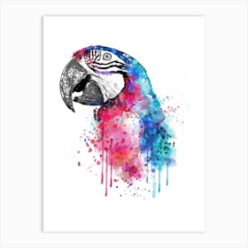 Macaw Bird Watercolor Art Print