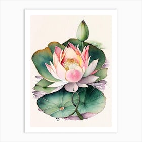 Blooming Lotus Flower In Lake Watercolour Ink Pencil 1 Art Print