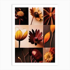 Autumn Flowers, Autumn Collection 2 Art Print